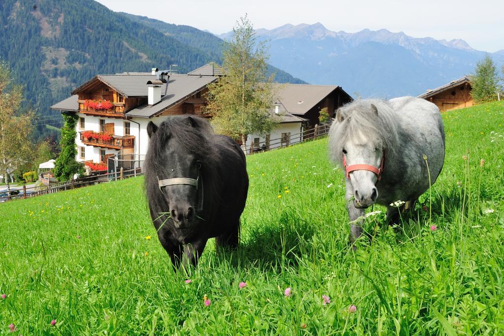 Hotel Kompatscherhof Luson Exteriör bild